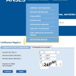 Anses CERTIFICACIÓN NEGATIVA