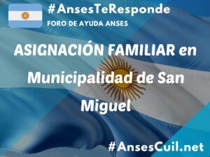asignacion familiar en municipalidad de san miguel 3051