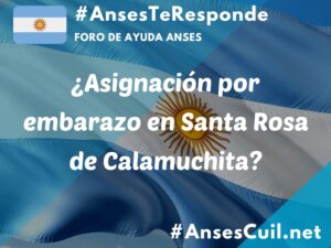 asignacion por embarazo en santa rosa de calamuchita 3812