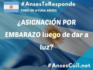 asignacion por embarazo luego de dar a luz 3819