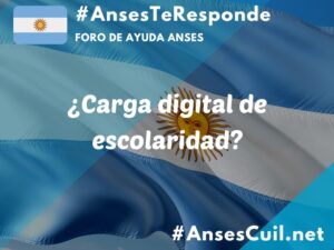 carga digital de escolaridad 4208