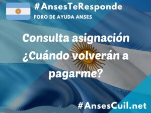 consulta asignacion cuando volveran a pagarme 2916