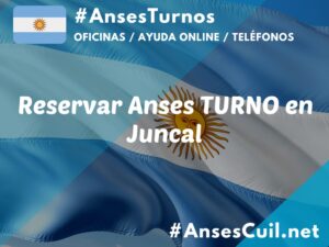 reservar anses turno en juncal 2180