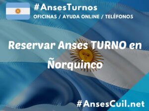 reservar anses turno en norquinco 1866