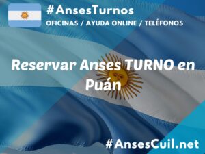 reservar anses turno en puan 434