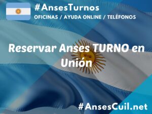 reservar anses turno en union 1998