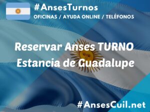 reservar anses turno estancia de guadalupe 924