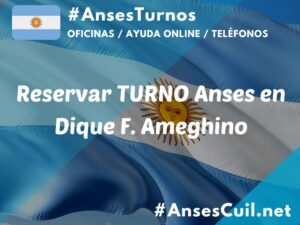 reservar turno anses en dique f ameghino 762