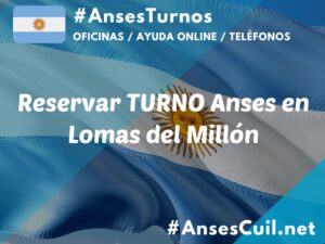 reservar turno anses en lomas del millon 525
