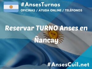 reservar turno anses en nancay 1441