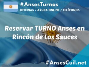 reservar turno anses en rincon de los sauces 1803