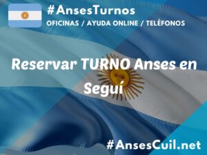 reservar turno anses en segui 1496