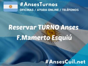 reservar turno anses f mamerto esquiu 656