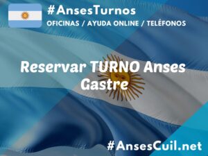 reservar turno anses gastre 772