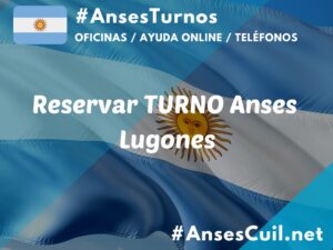 reservar turno anses lugones 2388