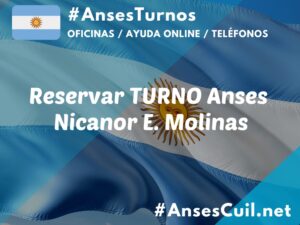 reservar turno anses nicanor e molinas 2241