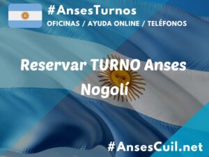 reservar turno anses nogoli 1986