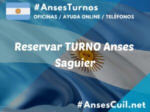 reservar turno anses saguier 2278