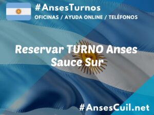 reservar turno anses sauce sur 1495