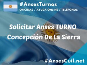 solicitar anses turno concepcion de la sierra 1725