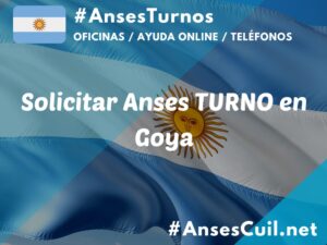 solicitar anses turno en goya 1228