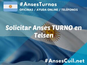 solicitar anses turno en telsen 791