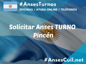 solicitar anses turno pincen 1070