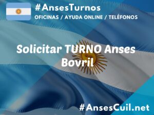 solicitar turno anses bovril 1301