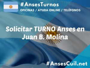 solicitar turno anses en juan b molina 2178