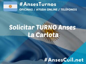 solicitar turno anses la carlota 957