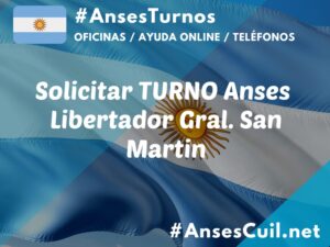 solicitar turno anses libertador gral san martin 1575