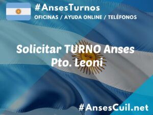 solicitar turno anses pto leoni 1756