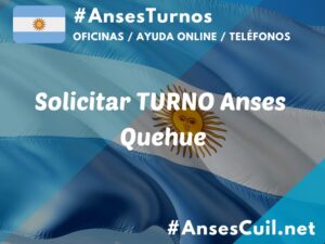 solicitar turno anses quehue 1656