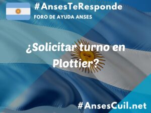 solicitar turno en plottier 2700