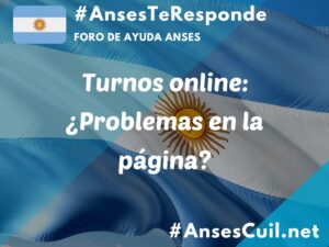 turnos online problemas en la pagina 3145